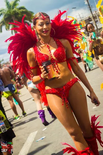 100 Plumas de cola de gallo Premium 25-30cm de colores diversos