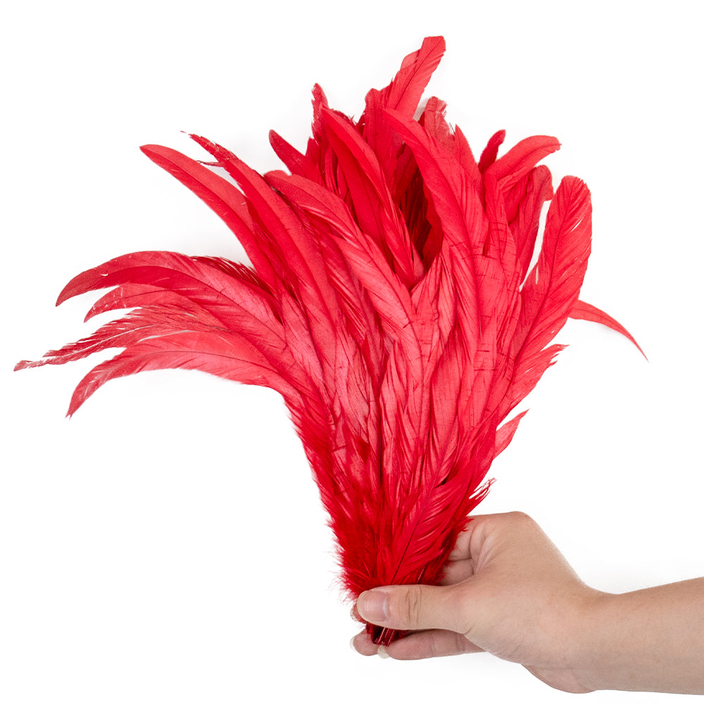 100 Plumas de cola de gallo Premium 25-30cm de colores diversos