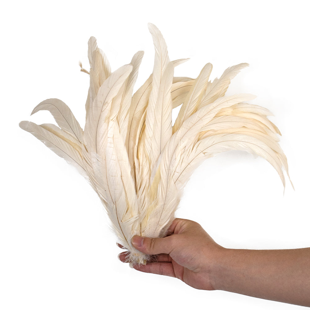 100 Plumas de cola de gallo Premium 25-30cm de colores diversos