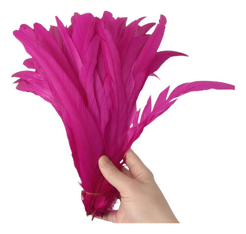 100 Plumas de cola de gallo Premium 25-30cm de colores diversos