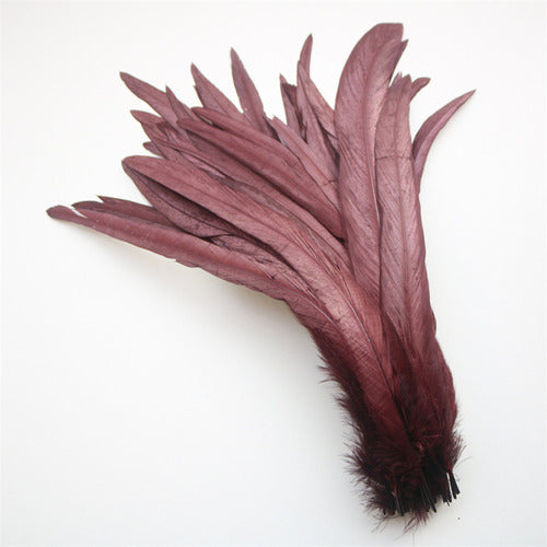 100 Plumas de cola de gallo Premium 25-30cm de colores diversos