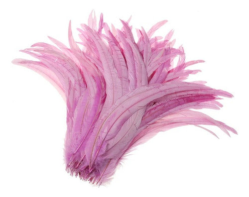 100 Plumas de cola de gallo Premium 25-30cm de colores diversos