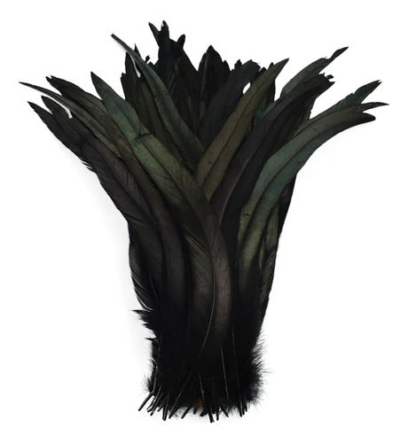 100 Plumas de cola de gallo Premium 25-30cm de colores diversos