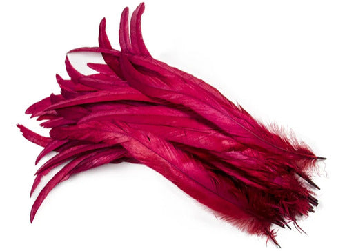 100 Plumas de cola de gallo Premium 25-30cm de colores diversos