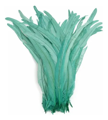 100 Plumas de cola de gallo Premium 25-30cm de colores diversos