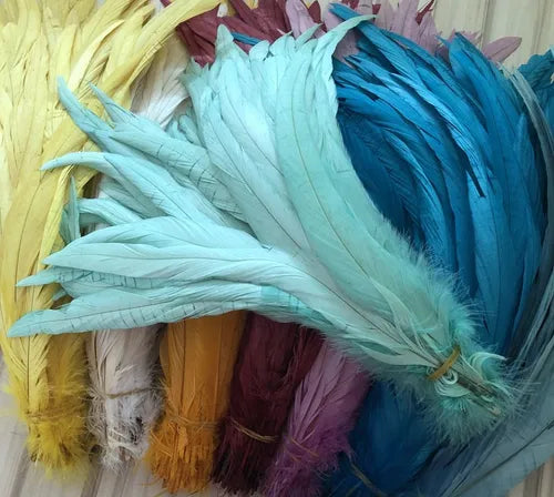 100 Plumas de cola de gallo Premium 25-30cm de colores diversos