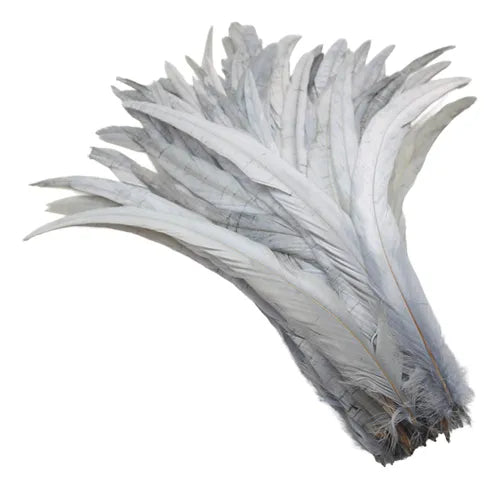 100 Plumas de cola de gallo Premium 25-30cm de colores diversos