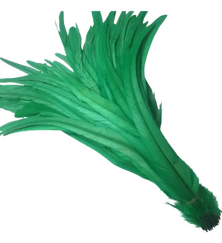 100 Plumas de cola de gallo Premium 25-30cm de colores diversos