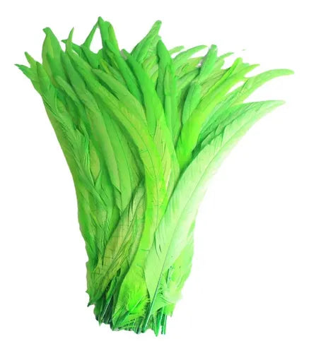100 Plumas de cola de gallo Premium 25-30cm de colores diversos